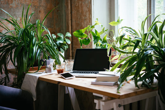 Self-Care for Office Workers